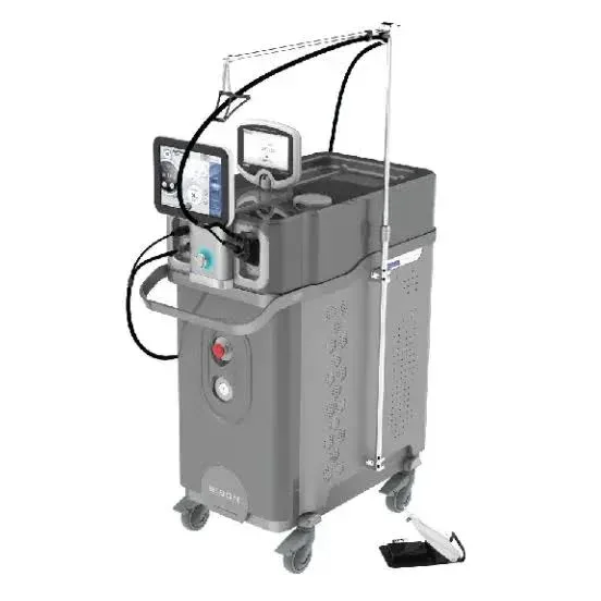 Bison Dual ACCENTO - NdYAG Laser